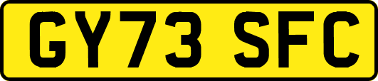 GY73SFC