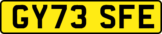 GY73SFE