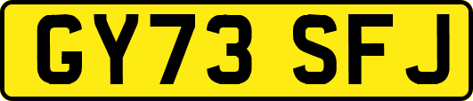 GY73SFJ