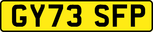 GY73SFP