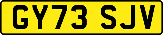 GY73SJV