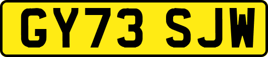 GY73SJW