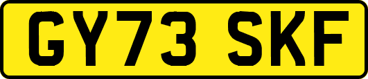 GY73SKF
