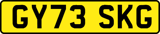 GY73SKG
