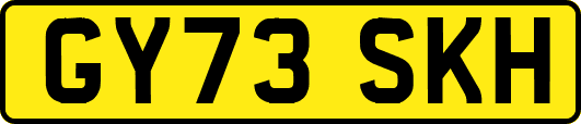 GY73SKH