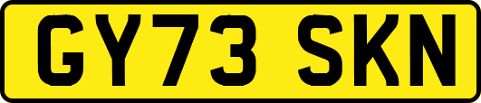 GY73SKN