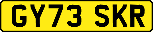 GY73SKR