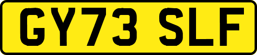 GY73SLF