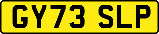 GY73SLP