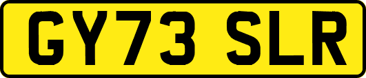 GY73SLR
