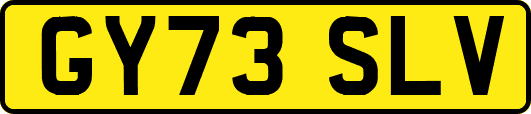 GY73SLV