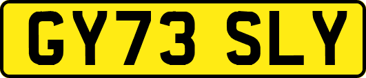 GY73SLY