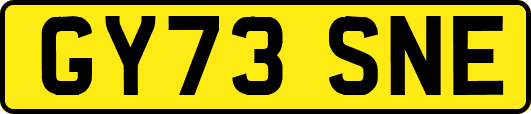 GY73SNE