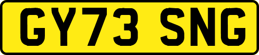 GY73SNG