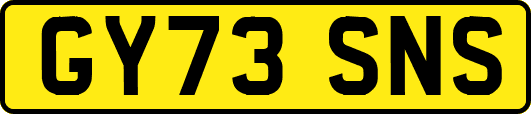 GY73SNS