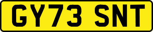 GY73SNT