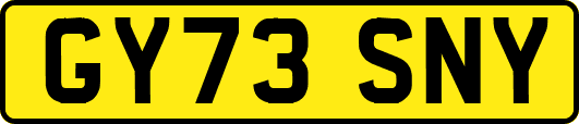 GY73SNY