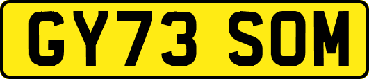 GY73SOM