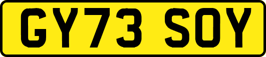 GY73SOY