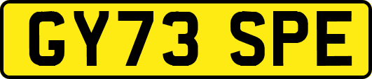 GY73SPE
