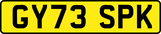 GY73SPK