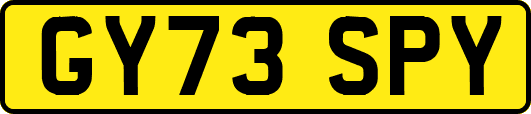GY73SPY
