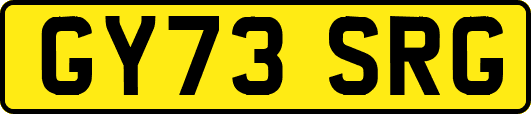 GY73SRG