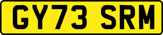 GY73SRM