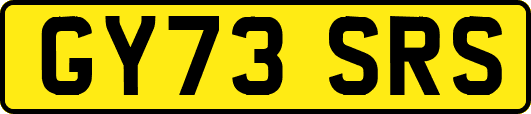 GY73SRS