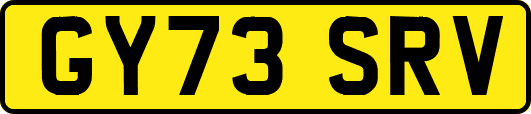 GY73SRV