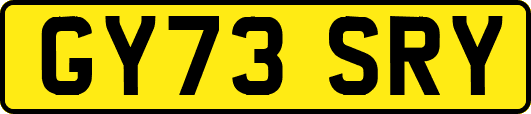 GY73SRY
