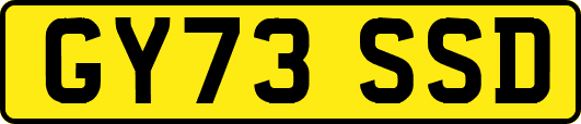 GY73SSD