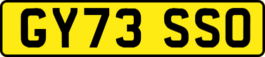 GY73SSO