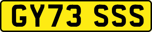 GY73SSS