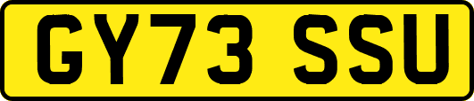 GY73SSU