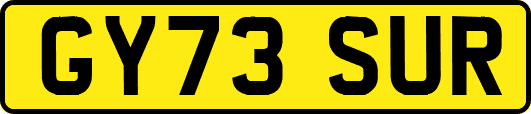 GY73SUR