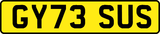 GY73SUS