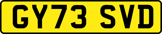 GY73SVD