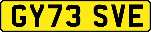 GY73SVE