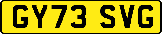 GY73SVG