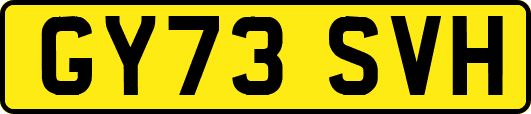 GY73SVH