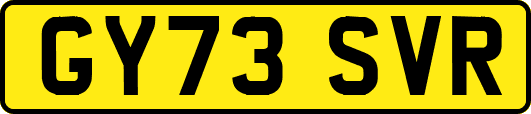 GY73SVR
