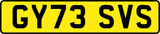 GY73SVS