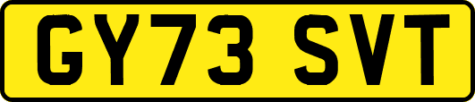 GY73SVT
