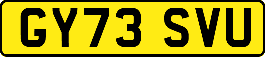 GY73SVU