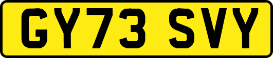 GY73SVY