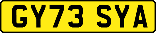 GY73SYA