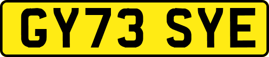GY73SYE