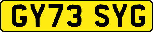 GY73SYG