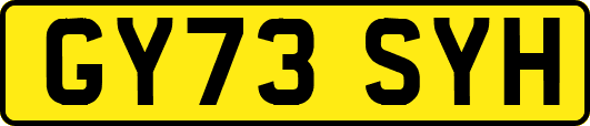 GY73SYH